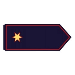 Schulterklappe Brandmeister (BM) (TH) (FF)