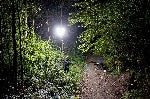 ALDEBARAN® 360 GRAD FLEX-C LED 600 COMPACT 2.0