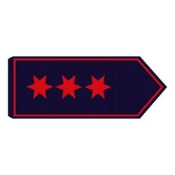 Schulterklappe Oberfeuerwehrmann (OFM) (TH)